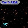 Terz V 3336
