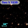 Terz V 3339