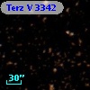 Terz V 3342