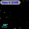 Terz V 3349