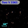 Terz V 3365