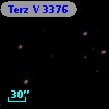 Terz V 3376
