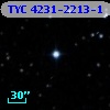TYC 4231-2213-1