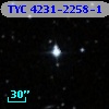 TYC 4231-2258-1