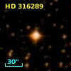 HD 316289