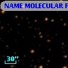 NAME MOLECULAR FLARE