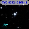 TYC 4232-2168-1