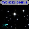 TYC 4232-2446-1