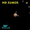 HD 314635