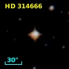 HD 314666