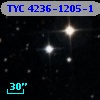 TYC 4236-1205-1
