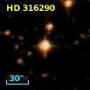 HD 316290