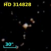HD 314828