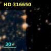 HD 316650
