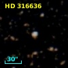 HD 316636