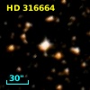 HD 316664