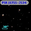 PSR J1755-2534