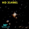 HD 314981