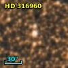 HD 316960