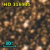 HD 316941