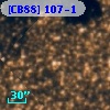 [CB88] 107-1