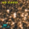 HD 316950