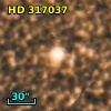 HD 317037