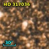 HD 317036