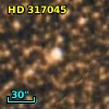 HD 317045