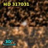 HD 317031
