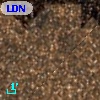 LDN  120