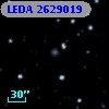 LEDA 2629019
