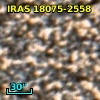 IRAS 18075-2558