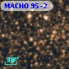 MACHO 95-2