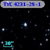 TYC 4231-28-1