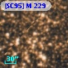 [SC95] M 229