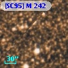 [SC95] M 242