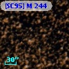 [SC95] M 244