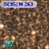 [SC95] M 263