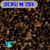 [SC95] M 293