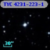 TYC 4231-223-1