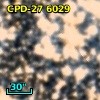 SS 341