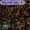 MACHO 101-A