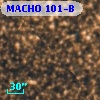 MACHO 101-B