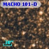 MACHO 101-D