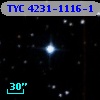 TYC 4231-1116-1