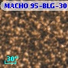 MACHO 95-BLG-30