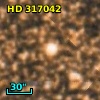 HD 317042