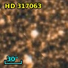 HD 317063