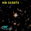 HD 315073